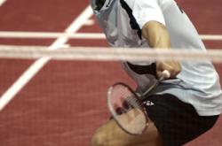 复仇之战！林丹率领阿根廷队成功刷新纪录的简单介绍